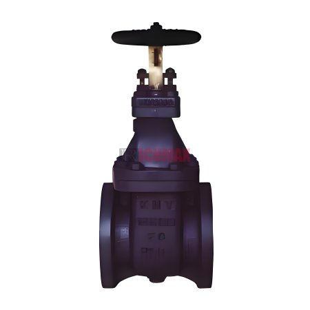 JIS F7363 5K Marine Cast Iron Gate Valve
