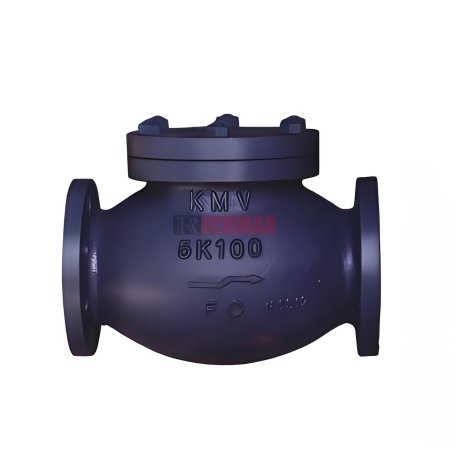 JIS F7358 5K Marine Cast Iron Lift Check Globe Valve
