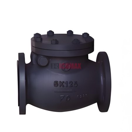 JIS F7372 5K Marine Cast Iron Swing Check Valve