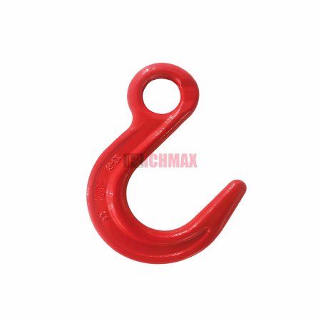 G80 Eye Foundry Hook