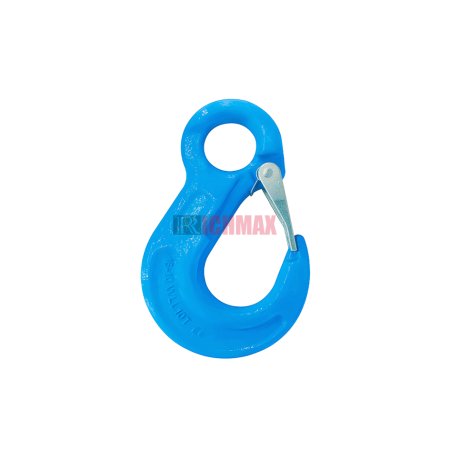G100 Eye Slip Hook With Latch