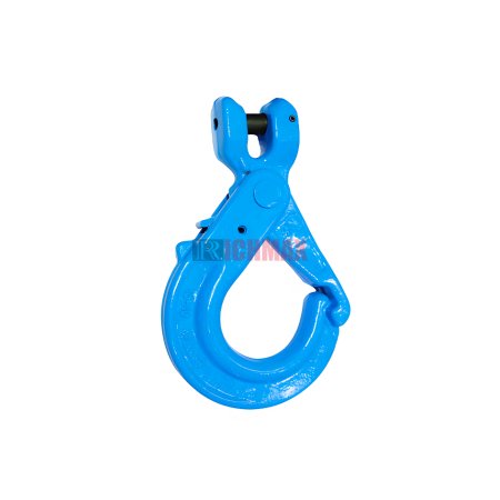 G100 Special Clevis Self-Lock Hook