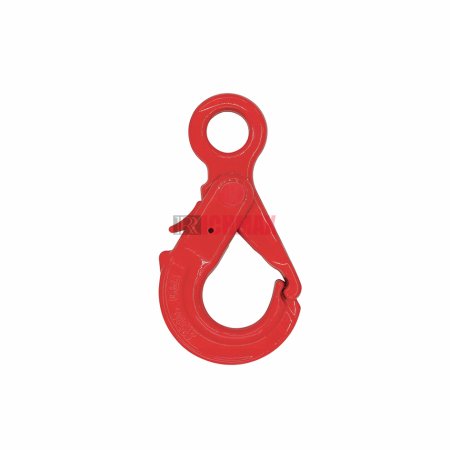 G80 Special Eye Self-Lock Hook