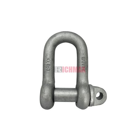 BS3032 Dee Shackle