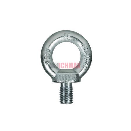 DIN580 Eye Bolt