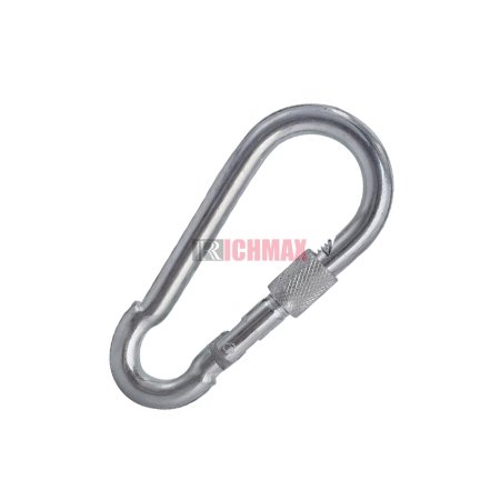 Snap Hook With Screw DIN5299 Form D