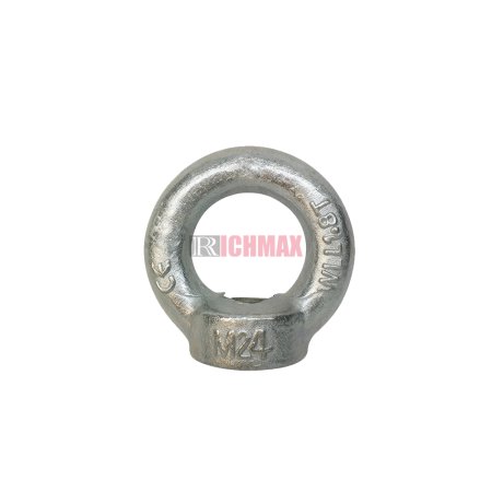 DIN582 Eye Nut