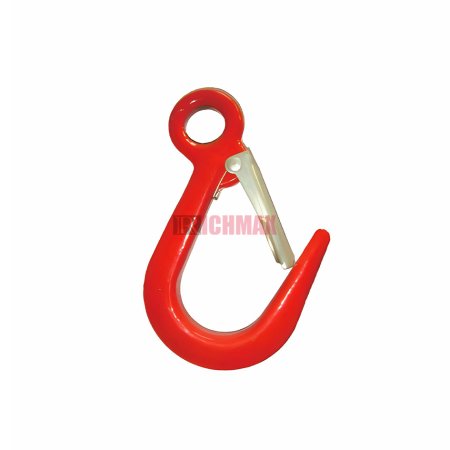 Alloy Eye Hook With Latch