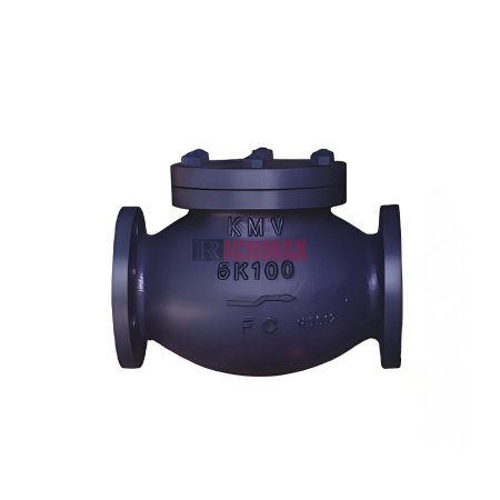 JIS F7358 5K Marine Cast Iron Lift Check Globe Valve