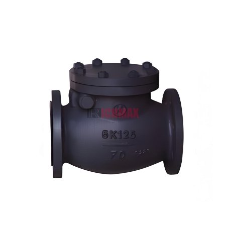 JIS F7372 5K Marine Cast Iron Swing Check Valve
