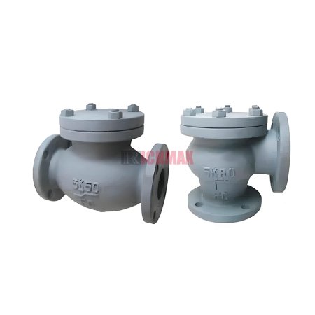 JIS F7358/JIS F7359 Marine Cast Iron Lift Check Valve 5K
